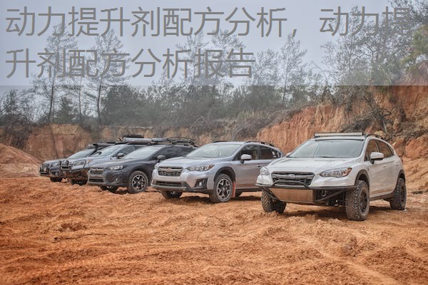 动力提升剂配方分析，动力提升剂配方分析报告
