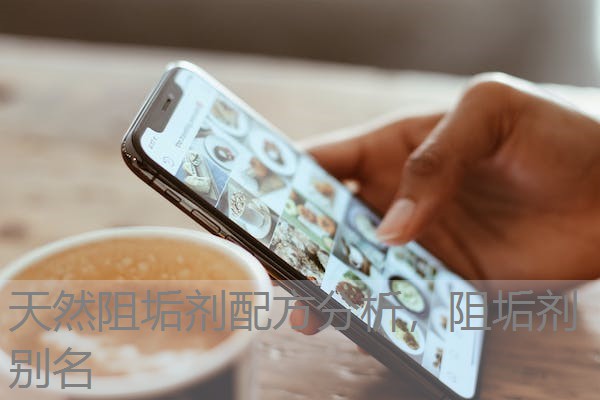 天然阻垢剂配方分析,阻垢剂别名 天然阻垢剂配方分析,阻垢剂别名