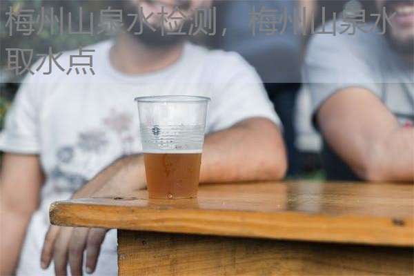 梅州山泉水检测，梅州山泉水取水点