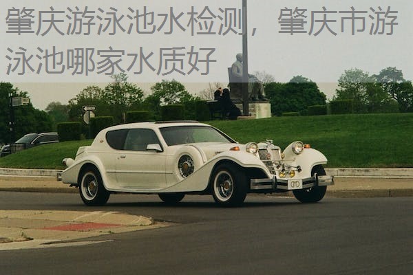 肇庆游泳池水检测,肇庆市游泳池哪家水质好 肇庆游泳池水检测,肇庆市游泳池哪家水质好