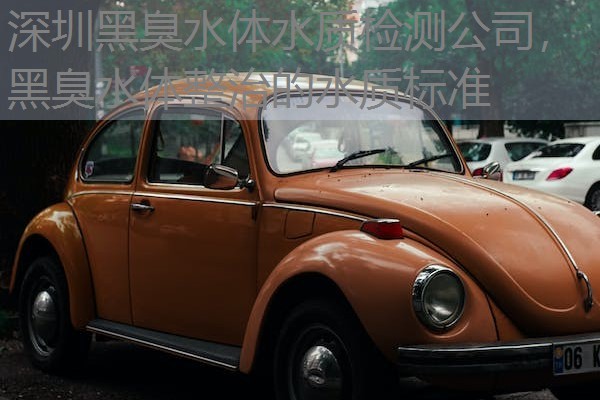 深圳黑臭水体水质检测公司，黑臭水体整治的水质标准
