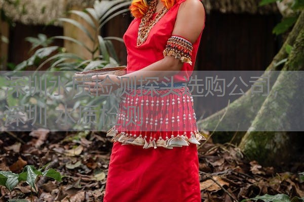 深圳水质检测探头选购公司，深圳 水质检测