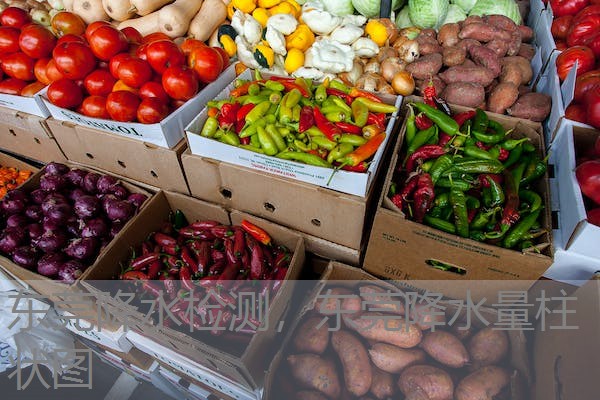 东莞降水检测，东莞降水量柱状图