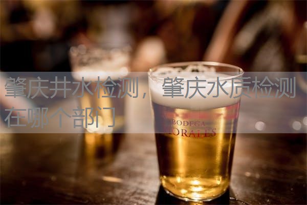 肇庆井水检测，肇庆水质检测在哪个部门