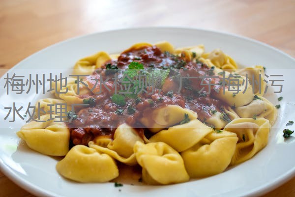 梅州地下水检测，广东梅州污水处理厂