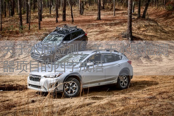关于水质检测，关于水质检测器项目的四字成语