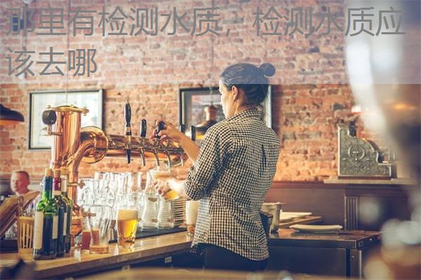那里有检测水质,检测水质应该去哪 那里有检测水质,检测水质应该去哪