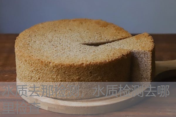 水质去那检测，水质检测去哪里检查