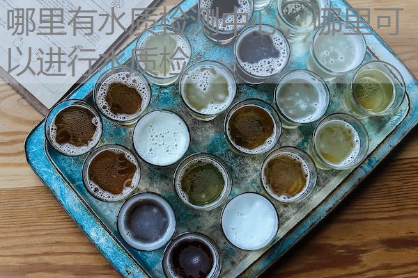 哪里有水质检测中心,哪里可以进行水质检 哪里有水质检测中心,哪里可以进行水质检