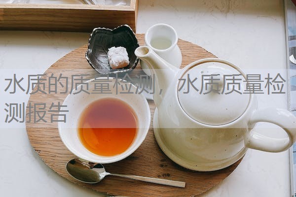水质的质量检测，水质质量检测报告