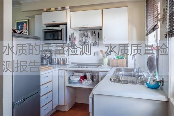 水质的质量检测，水质质量检测报告