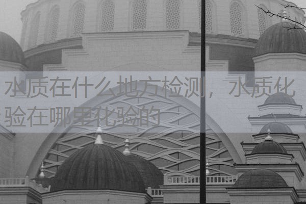 水质在什么地方检测，水质化验在哪里化验的