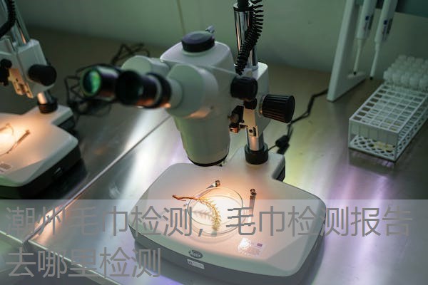 潮州毛巾检测,毛巾检测报告去哪里检测 潮州毛巾检测,毛巾检测报告去哪里检测