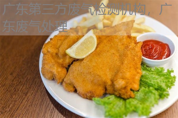 广东第三方废气检测机构，广东废气处理