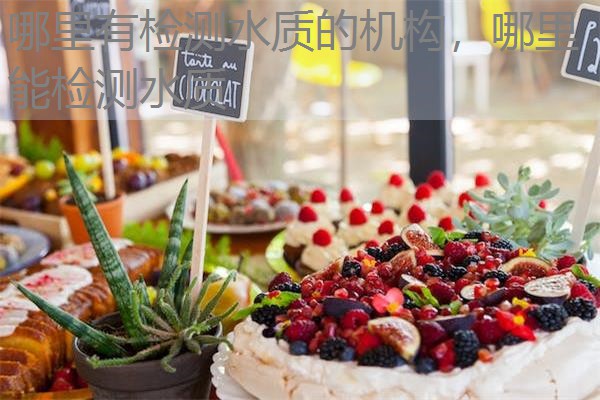 哪里有检测水质的机构,哪里能检测水质 哪里有检测水质的机构,哪里能检测水质