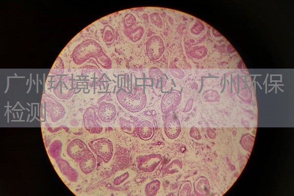 广州环境检测中心，广州环保检测