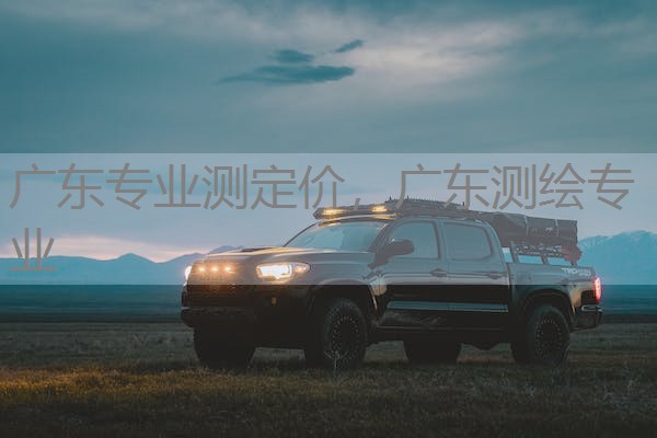 广东专业测定价，广东测绘专业