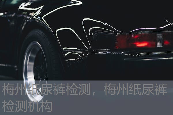 梅州纸尿裤检测，梅州纸尿裤检测机构