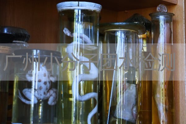 广州小分子团水检测