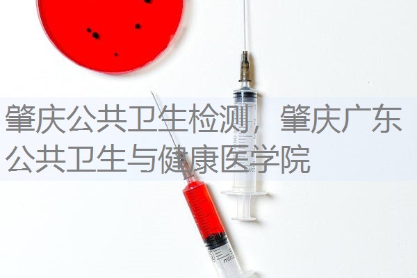 肇庆公共卫生检测，肇庆广东公共卫生与健康医学院