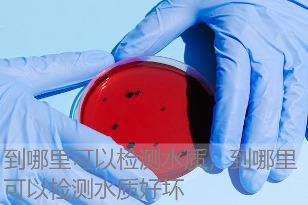 到哪里可以检测水质，到哪里可以检测水质好坏