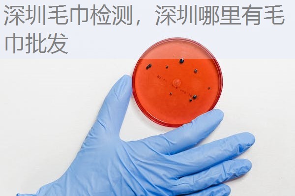 深圳毛巾检测，深圳哪里有毛巾批发