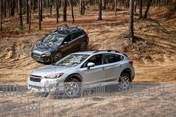 汕尾公共卫生检测，汕尾卫生局官网