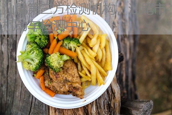 汕尾第三方检测机构，汕尾市机动车检测中心