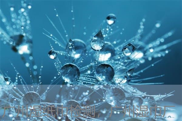 广州湿纸巾检测，广州湿巾厂