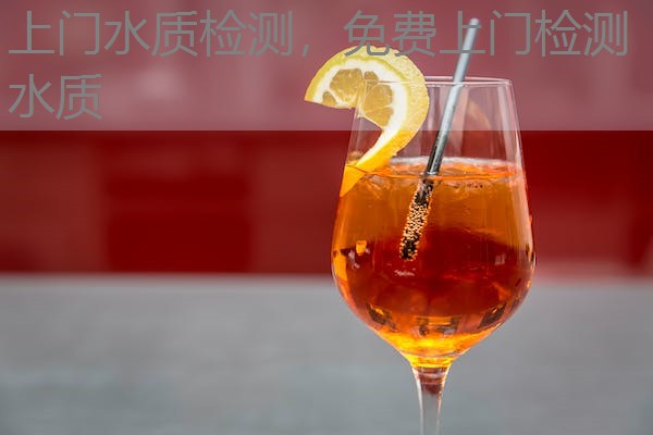上门水质检测，免费上门检测水质