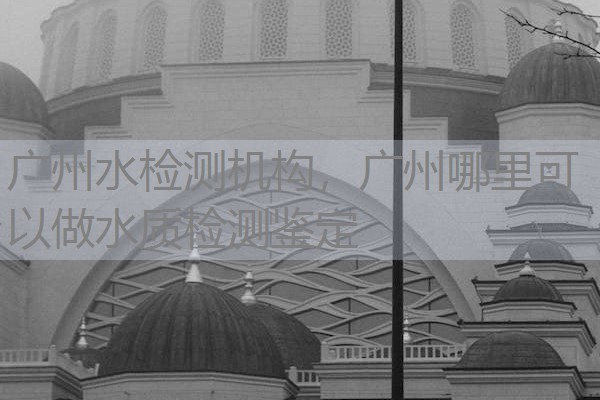 广州水检测机构,广州哪里可以做水质检测鉴定