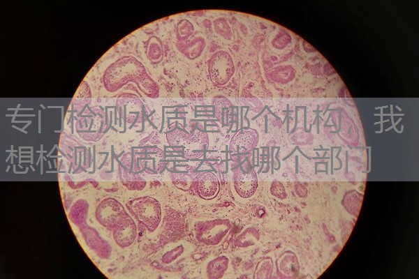 专门检测水质是哪个机构,我想检测水质是去找哪个部门 专门检测水质是哪个机构,我想检测水质是去找哪个部门