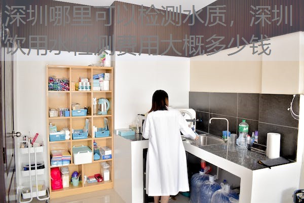 深圳哪里可以检测水质,深圳饮用水检测费用大概多少钱 深圳哪里可以检测水质,深圳饮用水检测费用大概多少钱