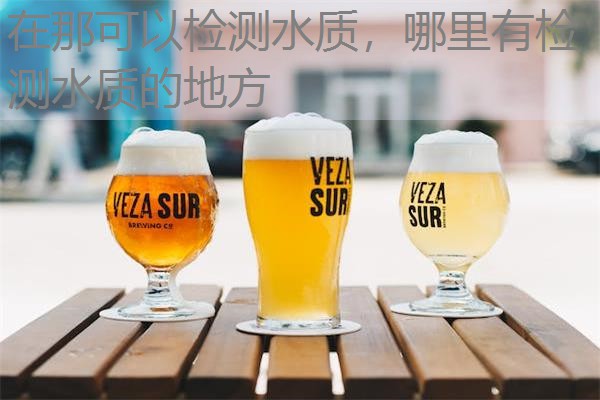 在那可以检测水质,哪里有检测水质的地方 在那可以检测水质,哪里有检测水质的地方