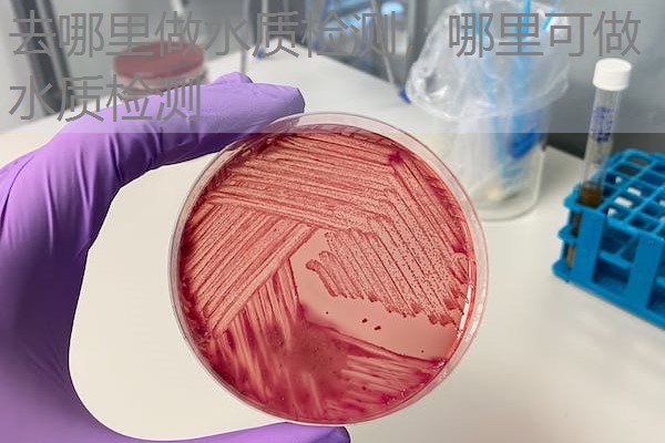 去哪里做水质检测，哪里可做水质检测