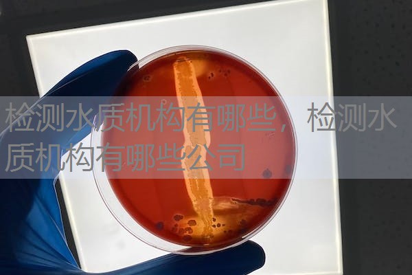 检测水质机构有哪些，检测水质机构有哪些公司