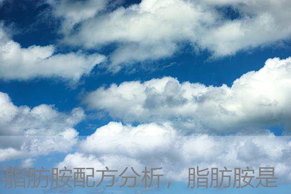 脂肪胺配方分析，脂肪胺是