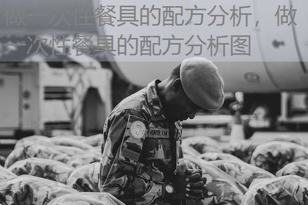 做一次性餐具的配方分析，做一次性餐具的配方分析图