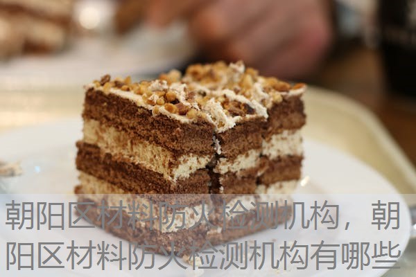 朝阳区材料防火检测机构，朝阳区材料防火检测机构有哪些