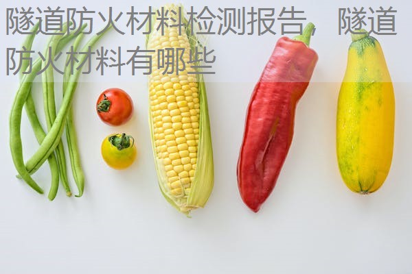隧道防火材料检测报告，隧道防火材料有哪些