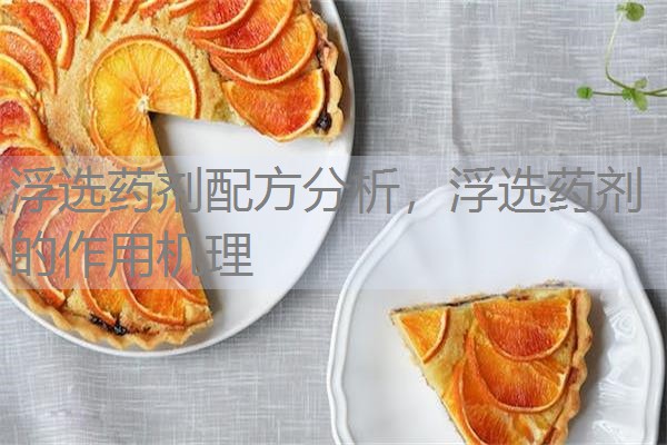 浮选药剂配方分析，浮选药剂的作用机理