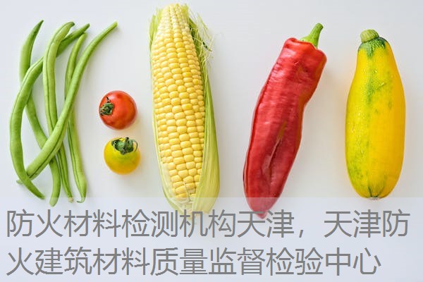 防火材料检测机构天津，天津防火建筑材料质量监督检验中心