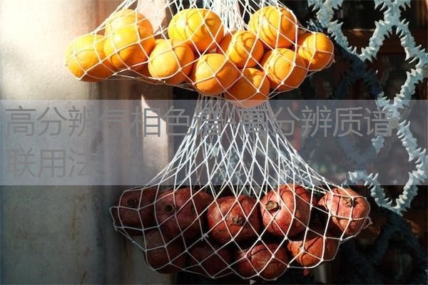 高分辨气相色谱-高分辨质谱联用法 高分辨气相色谱-高分辨质谱联用法