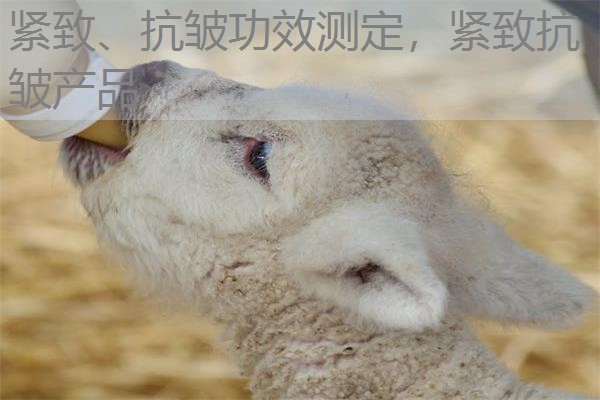 紧致、抗皱功效测定,紧致抗皱产品 紧致、抗皱功效测定,紧致抗皱产品