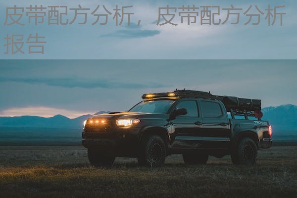 皮带配方分析,皮带配方分析报告 皮带配方分析,皮带配方分析报告