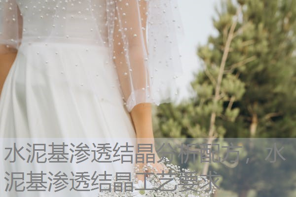 水泥基渗透结晶分析配方,水泥基渗透结晶工艺要求 水泥基渗透结晶分析配方,水泥基渗透结晶工艺要求