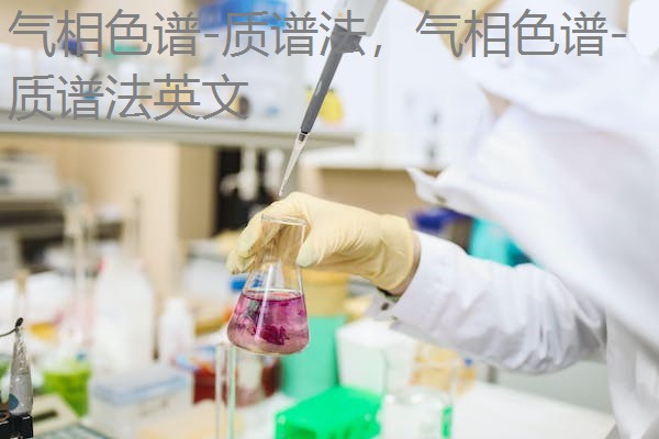 气相色谱-质谱法,气相色谱-质谱法英文 气相色谱-质谱法,气相色谱-质谱法英文