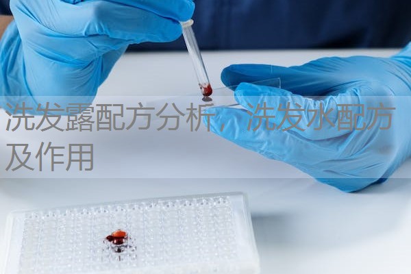 洗发露配方分析,洗发水配方及作用 洗发露配方分析,洗发水配方及作用