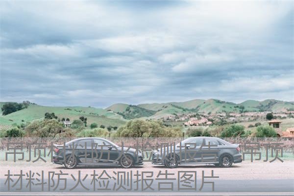 吊顶材料防火检测报告，吊顶材料防火检测报告图片