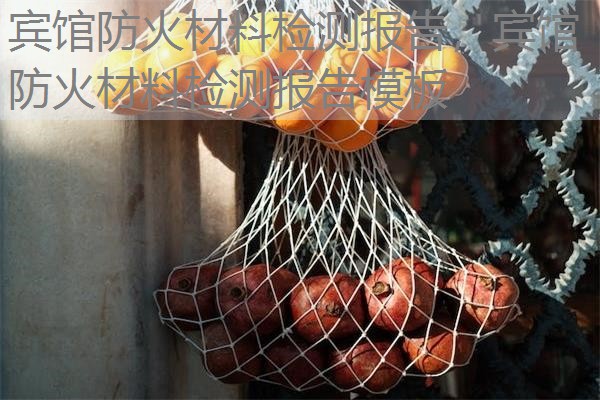宾馆防火材料检测报告,宾馆防火材料检测报告模板 宾馆防火材料检测报告,宾馆防火材料检测报告模板